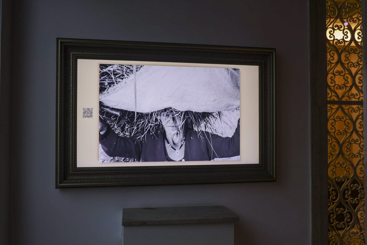 Vitruveo Artpacks Exhibition (Birthright / Womanhood) — image 1